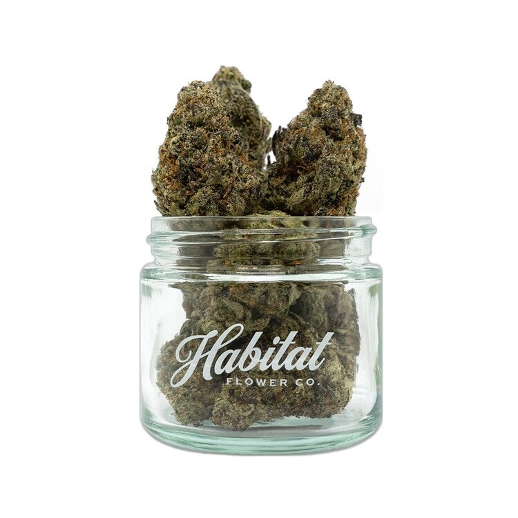 Photograph of Product: Auga De Jamaica 3.5g Flower (Habitat Flower Co.)