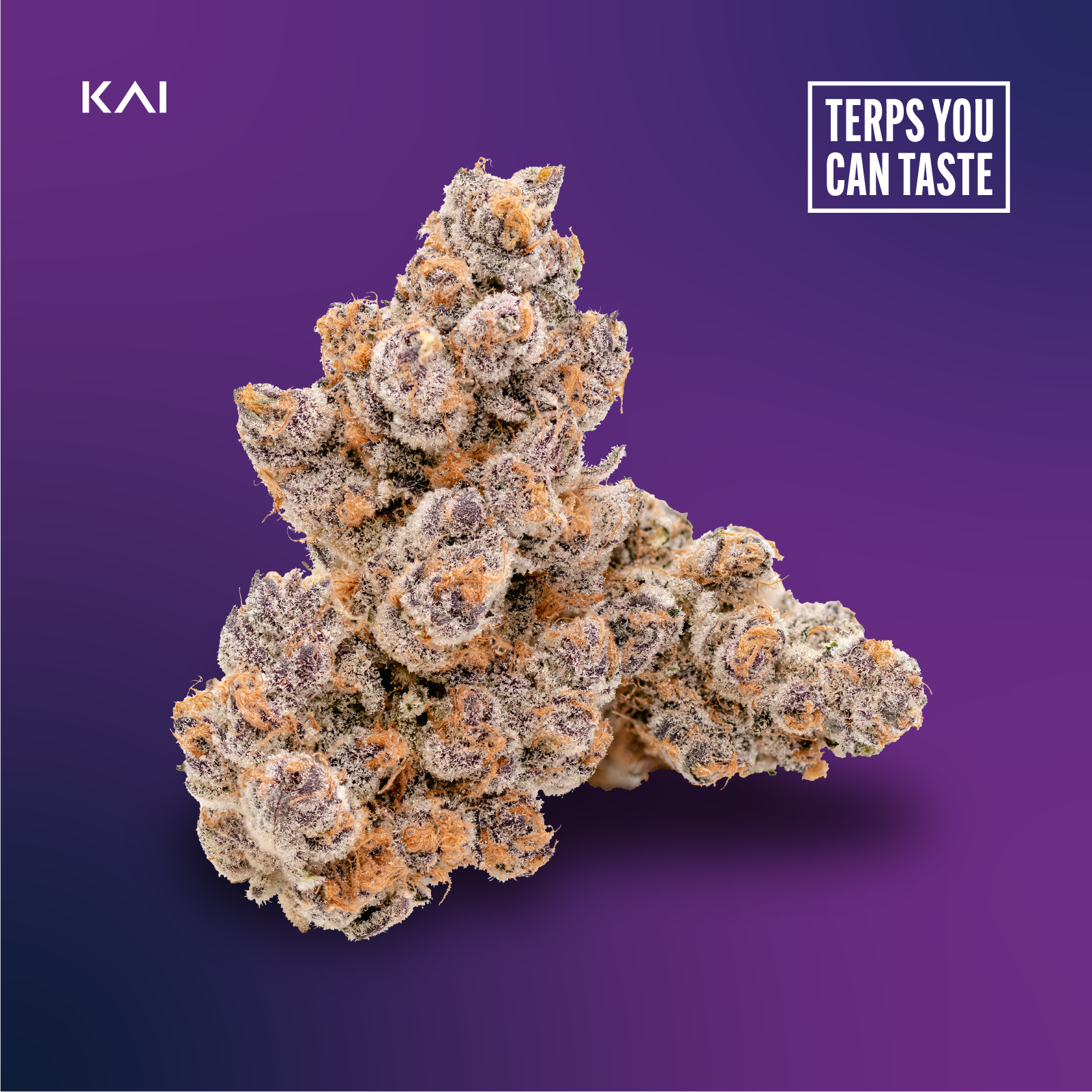 Photograph of product: KAI Oui'd Co. | Superboof | Bulk Flower - 28g