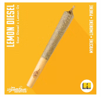 Photograph of product: Lemon Diesel Preroll | 1g