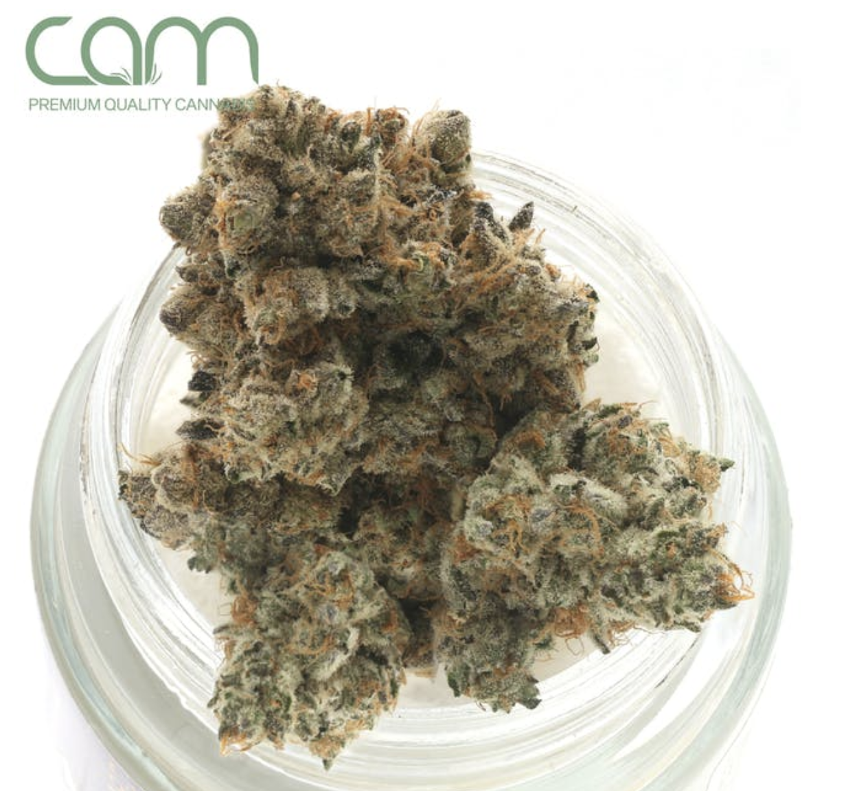 Photograph of product: JACK HERER - 3.5 G