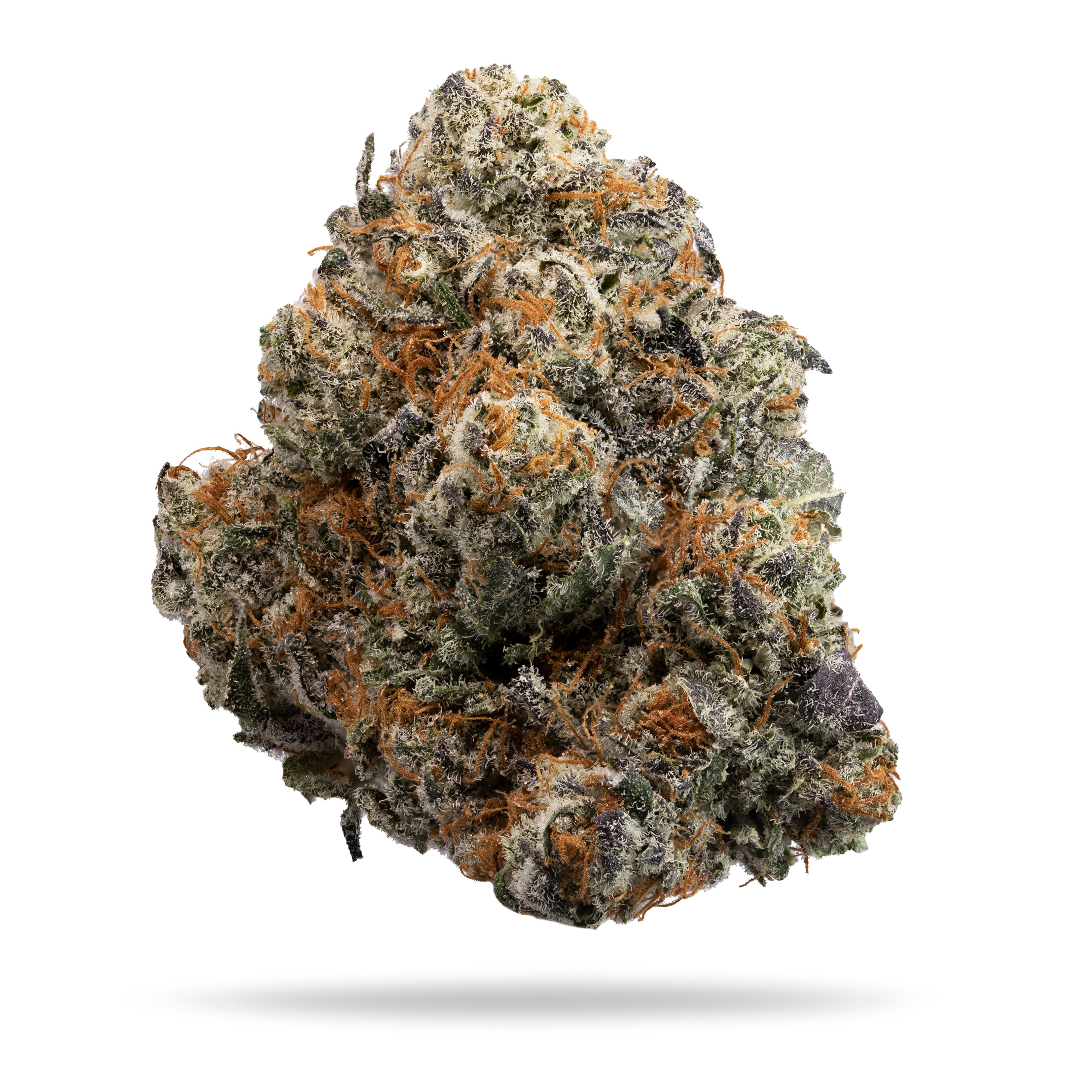 Photograph of product: (MED) MOCKINGBIRD BULK