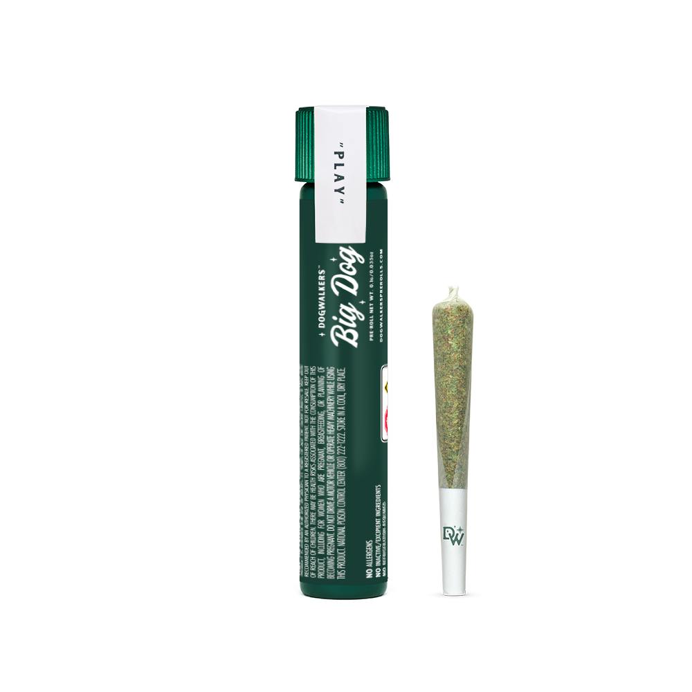 Photograph of product: East Coast Sour Diesel I 1g I Pre Roll I Dogwalkers