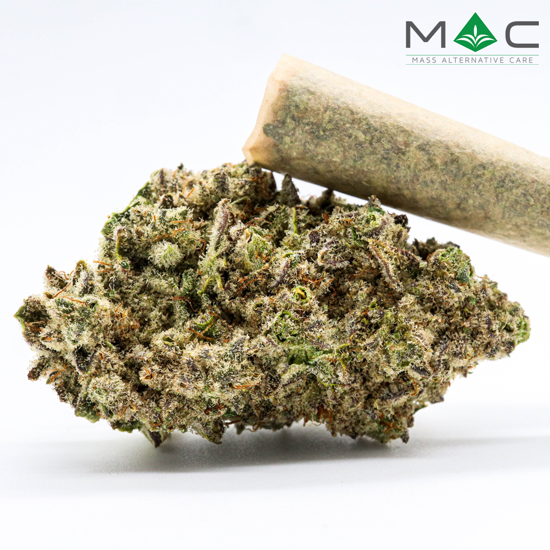 Photograph of product: Forbidden Spice Preroll | 1g | 31.46% TAC 2.03% Terpenes