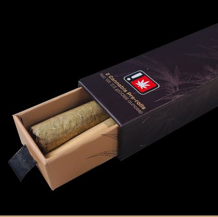 Photograph of product: Pre-Roll Pack | Chocolate Thai | Half Gram 2-Pack