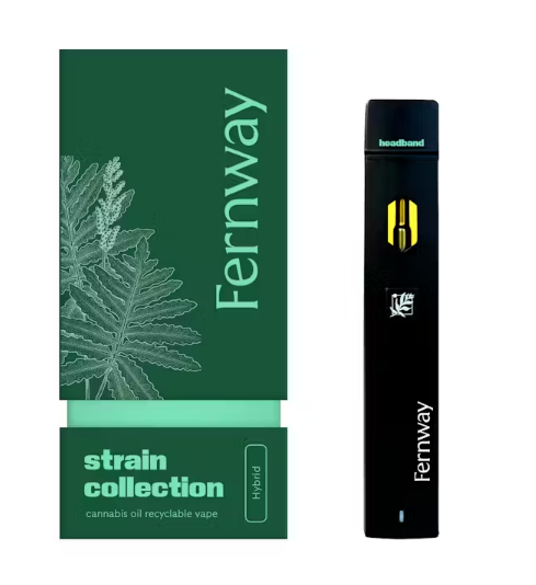 Photograph of product: Fernway Headband Vape
