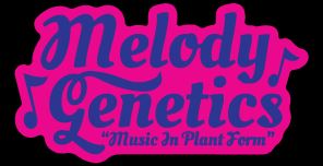Photograph of product: Melody Genetics - Pure GMO - Indoor - 3.5g
