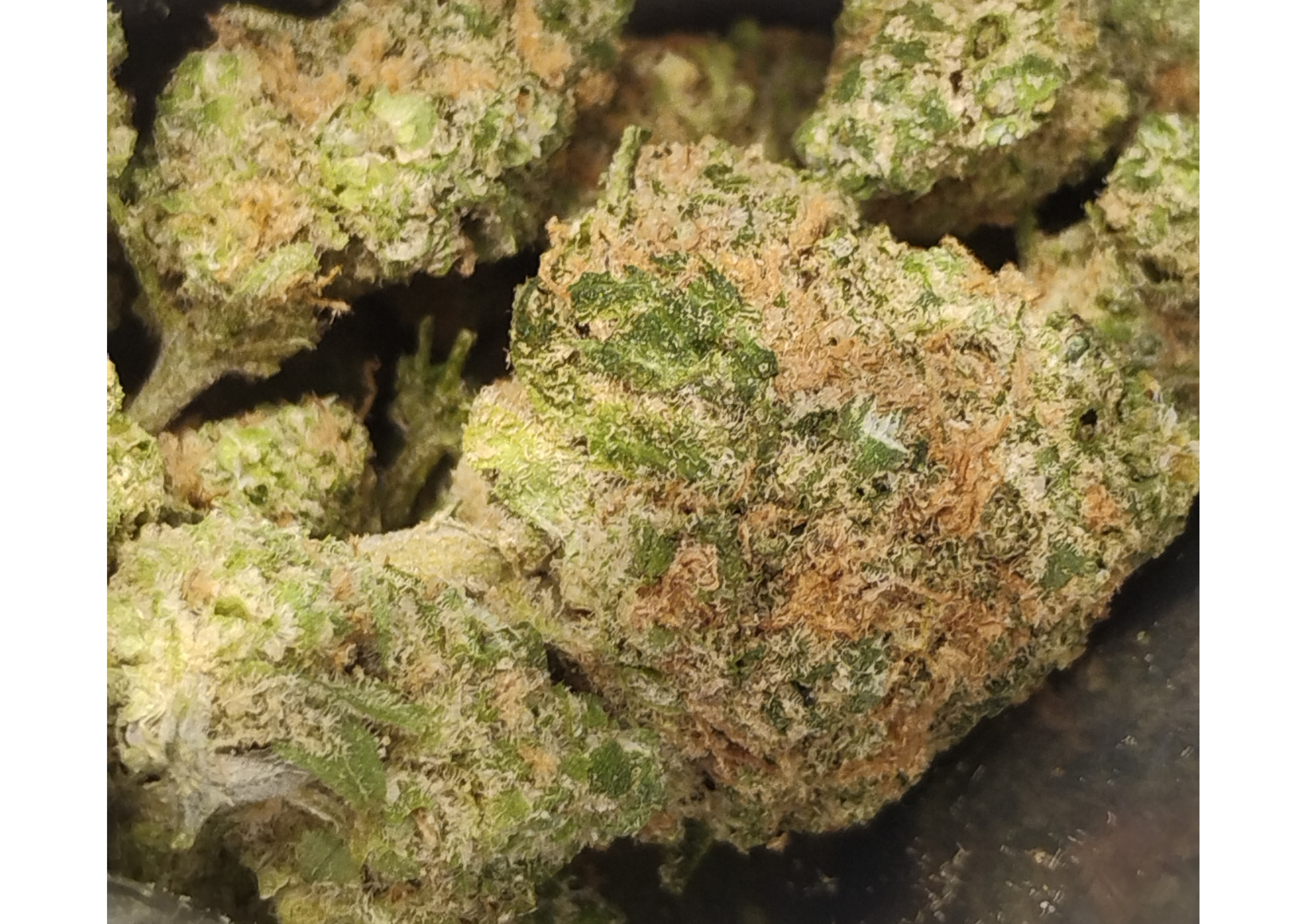 Photograph of product: Bold Cultivation Green Crack 3.5g Oui'd Flower