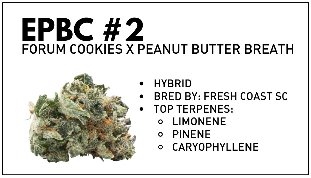 Photograph of product: Electric Peanut Butter Cookie #2 - 4g