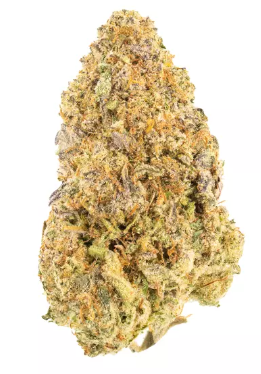 Photograph of product: Srene | Hella Jelly 3.5g