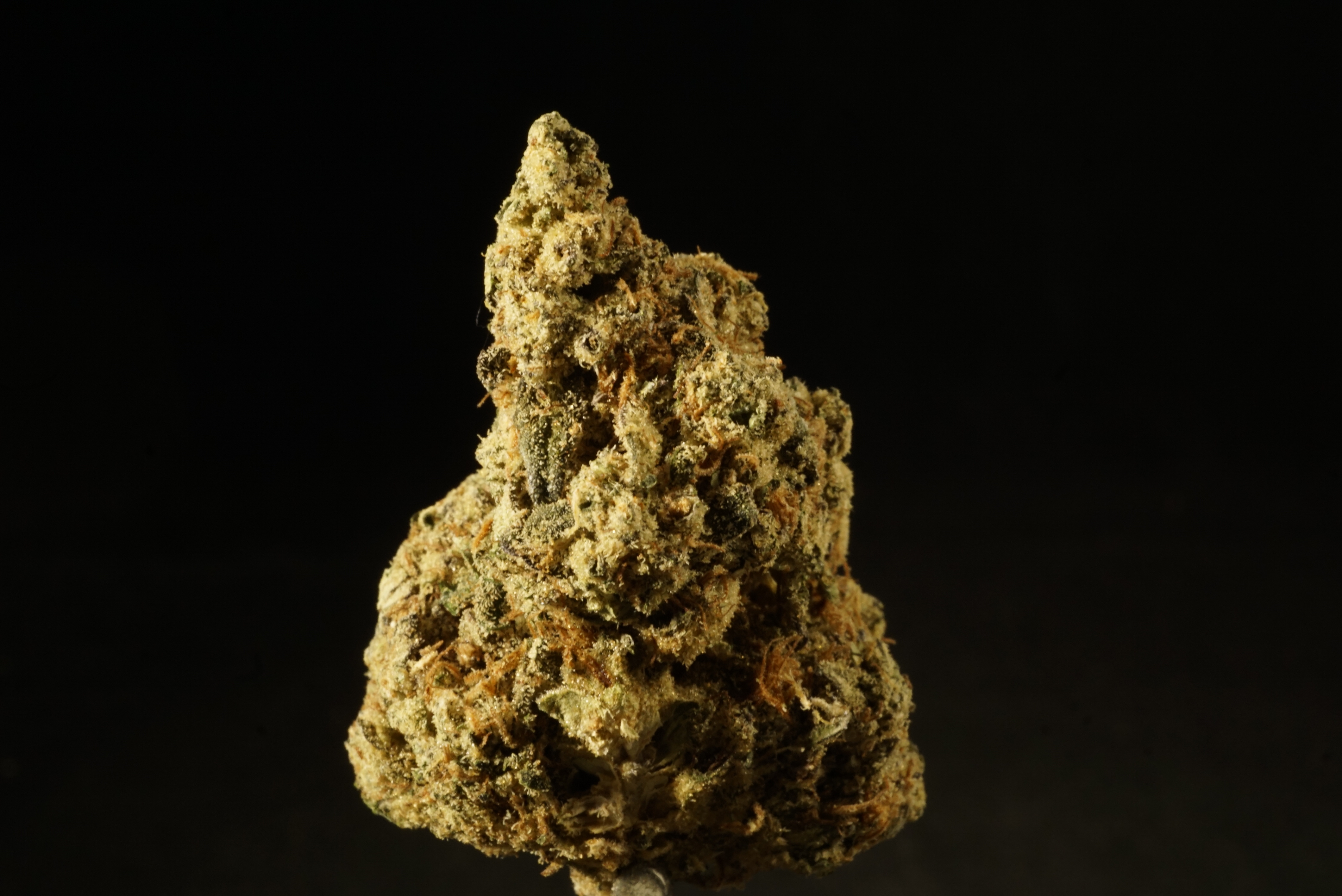 Photograph of product: Creme De Menthe - 1g