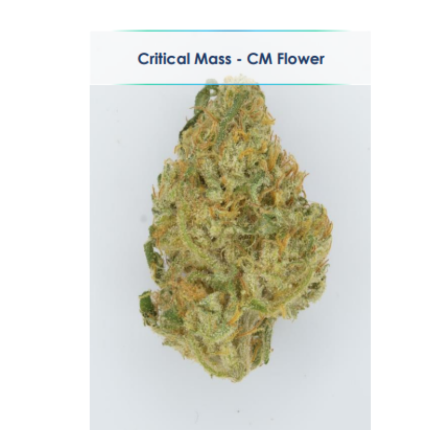 Photograph of product: CBD Critical Mass (I) - V - SHAKE BAG - 3.24g