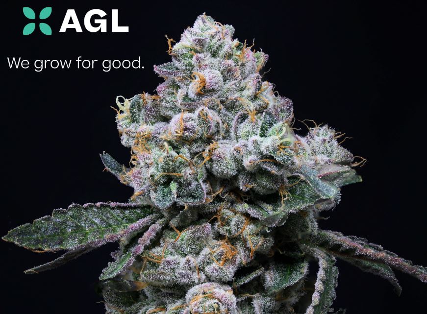 Photograph of product: AGL 3.5g Durban Z (S) 00403 (3.5g)