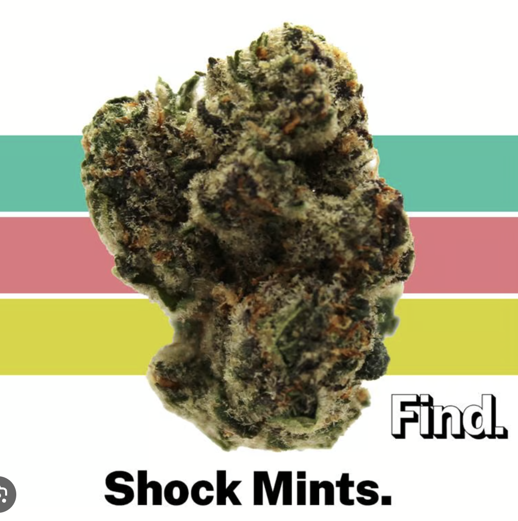 Photograph of product: Shock Mints - 7g | 10pk - Pre Rolls