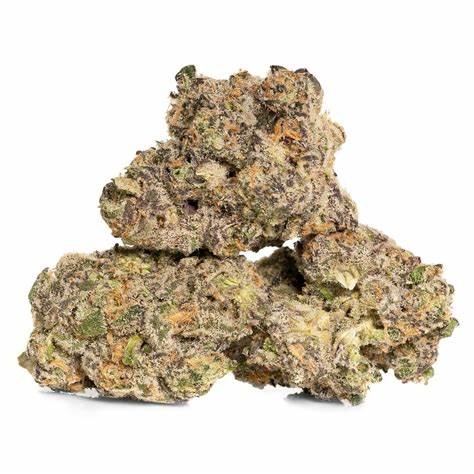 Photograph of product: CAM / Flower / Guava Gelato / - 3.5g