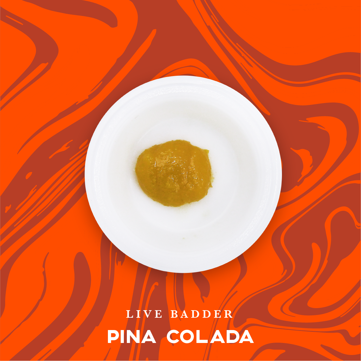 Photograph of product: Vivid: Live Resin Concentrate | Pina Colada Cut | Badder | 1g