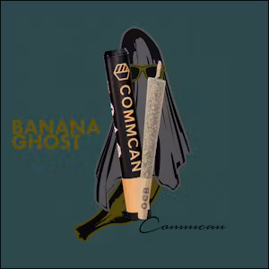 Photograph of product: Irish Cannonball