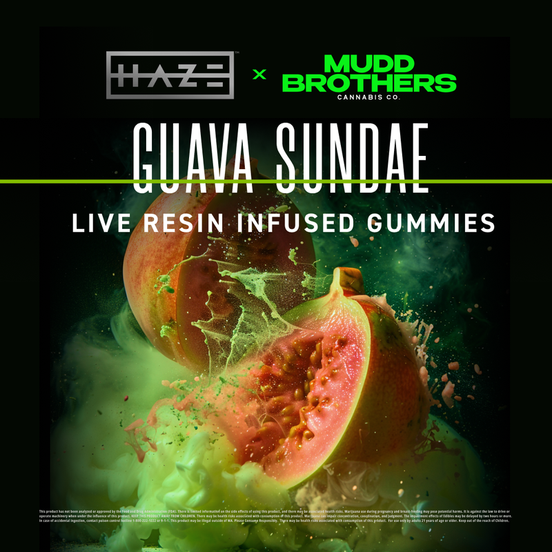 Photograph of product: Haze X Mudd Brothers Guava Sundae (I) Live Resin Gummies 10mg 10pk