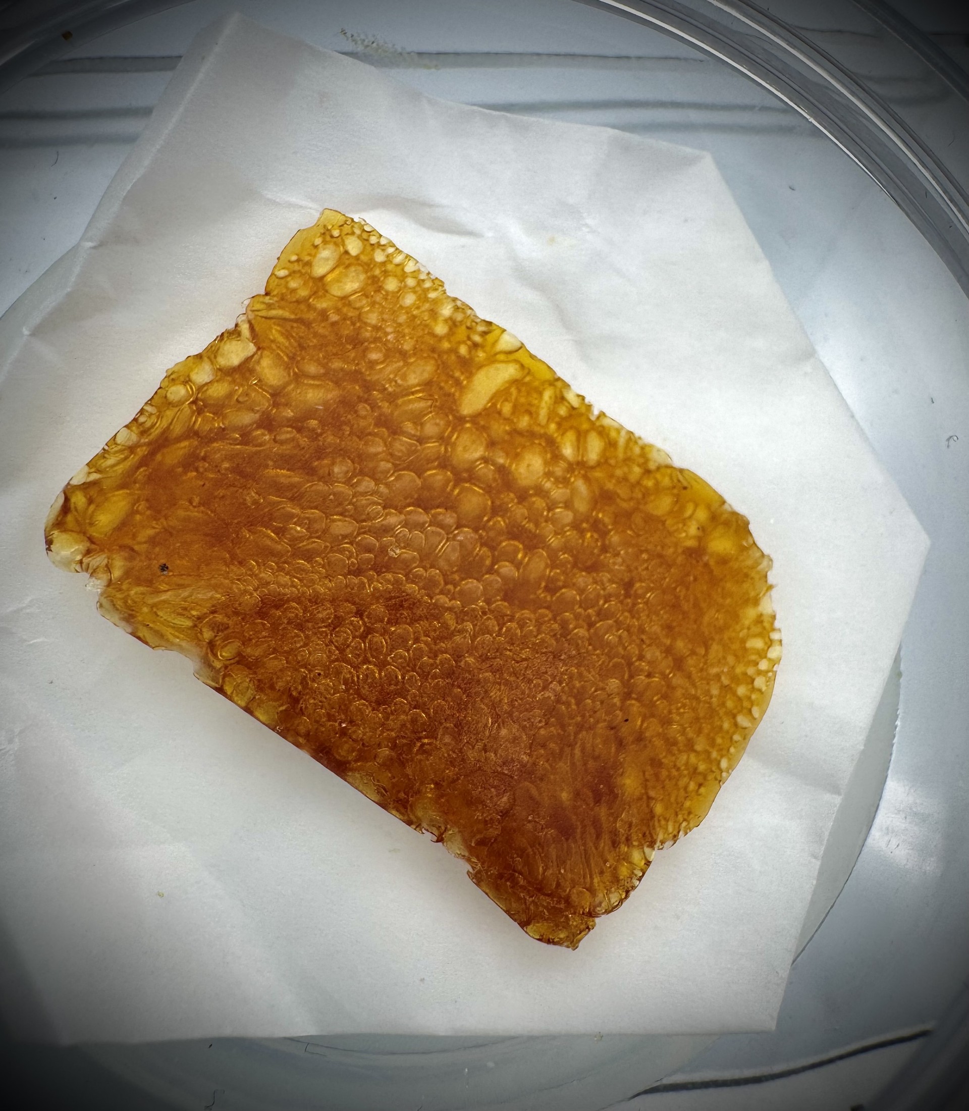 Photograph of product: Celtic Cream Shatter | Hybrid