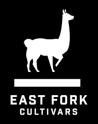 Photograph of product: East Fork Cultivars | Preroll Pack CREATE: SOUR LEMON KUSH