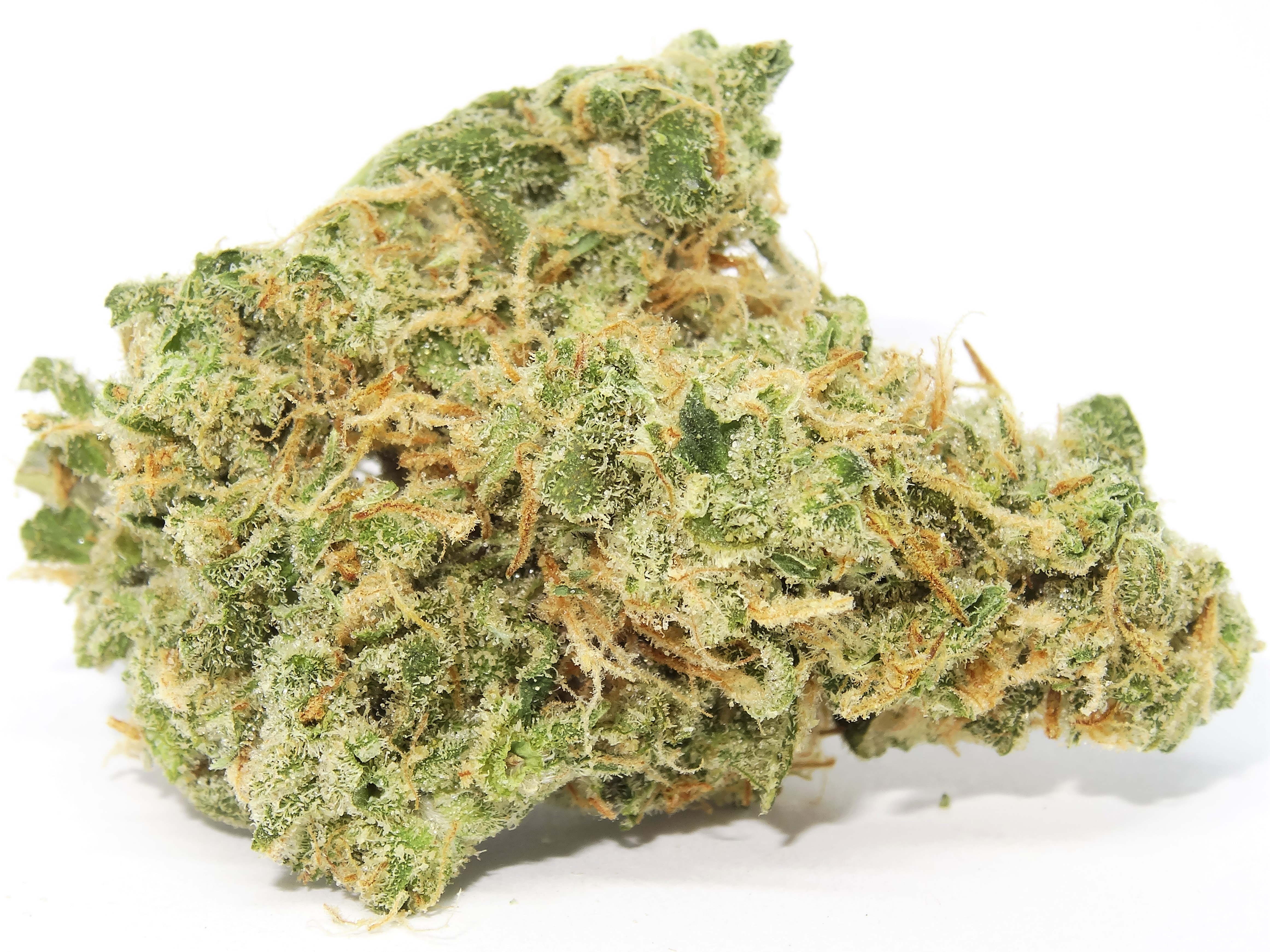 Photograph of product: Sparkling Lime | Otis Gardens - 28g