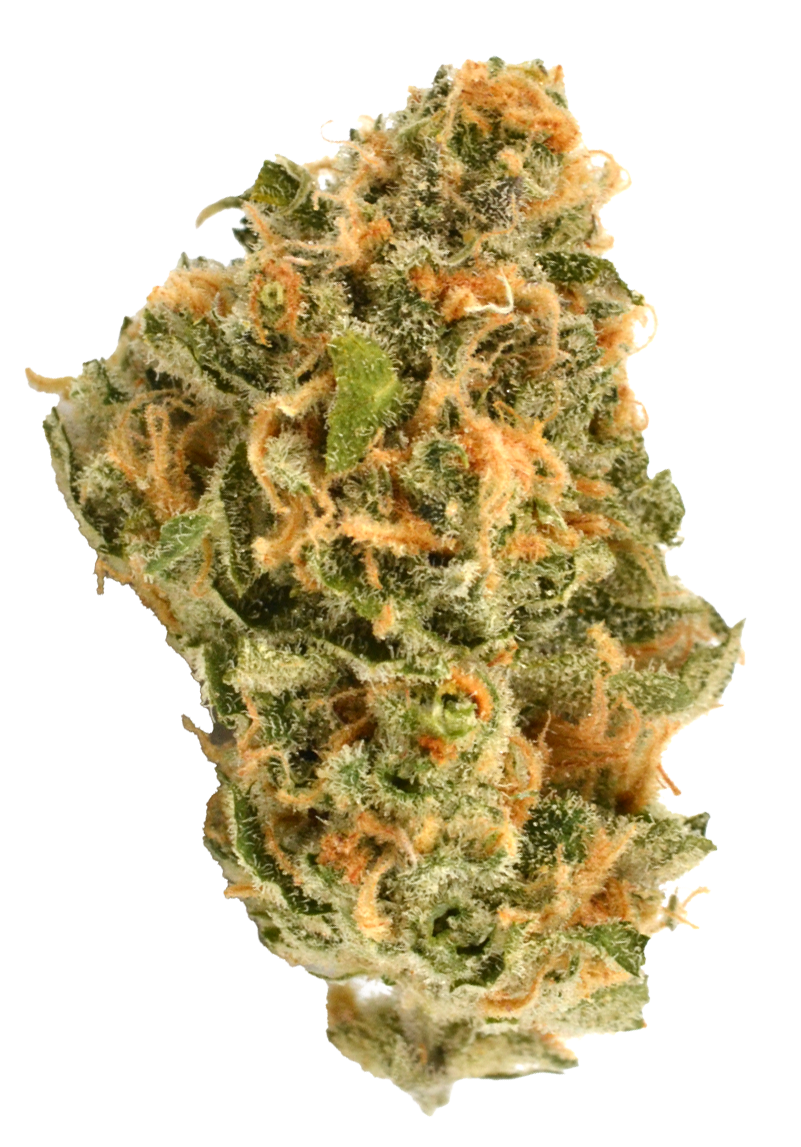 Photograph of product: Heirbloom By CBX | Green Crack | 3.5G