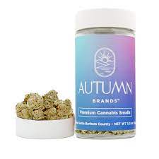 Photograph of product: Autumn Brands 14g Purple Carbonite