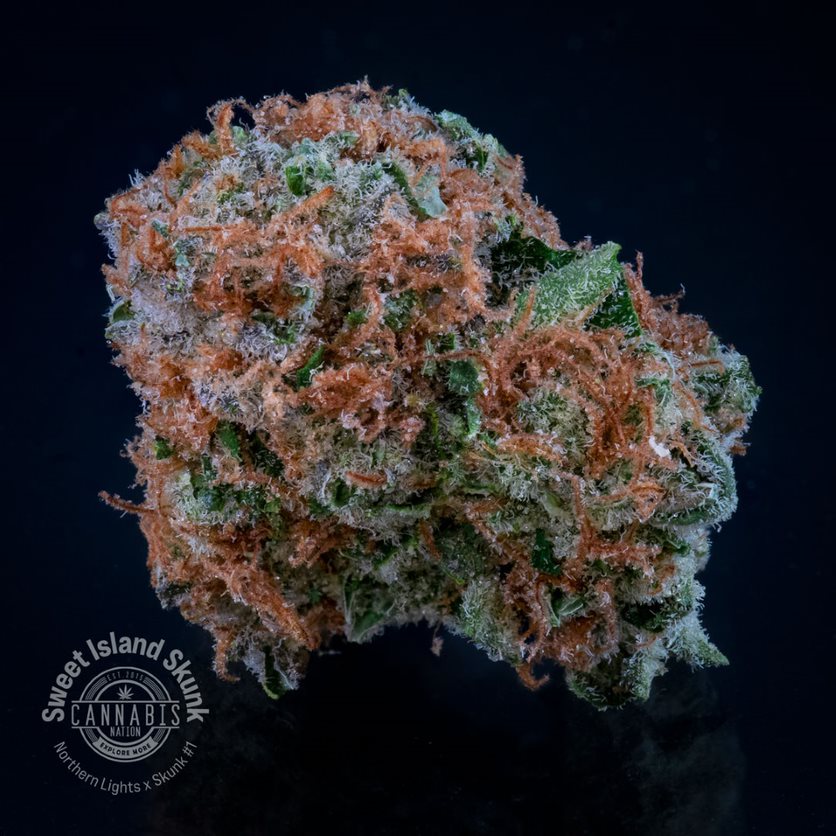 Photograph of product: Flower | Sweet Island Skunk - 3.5g