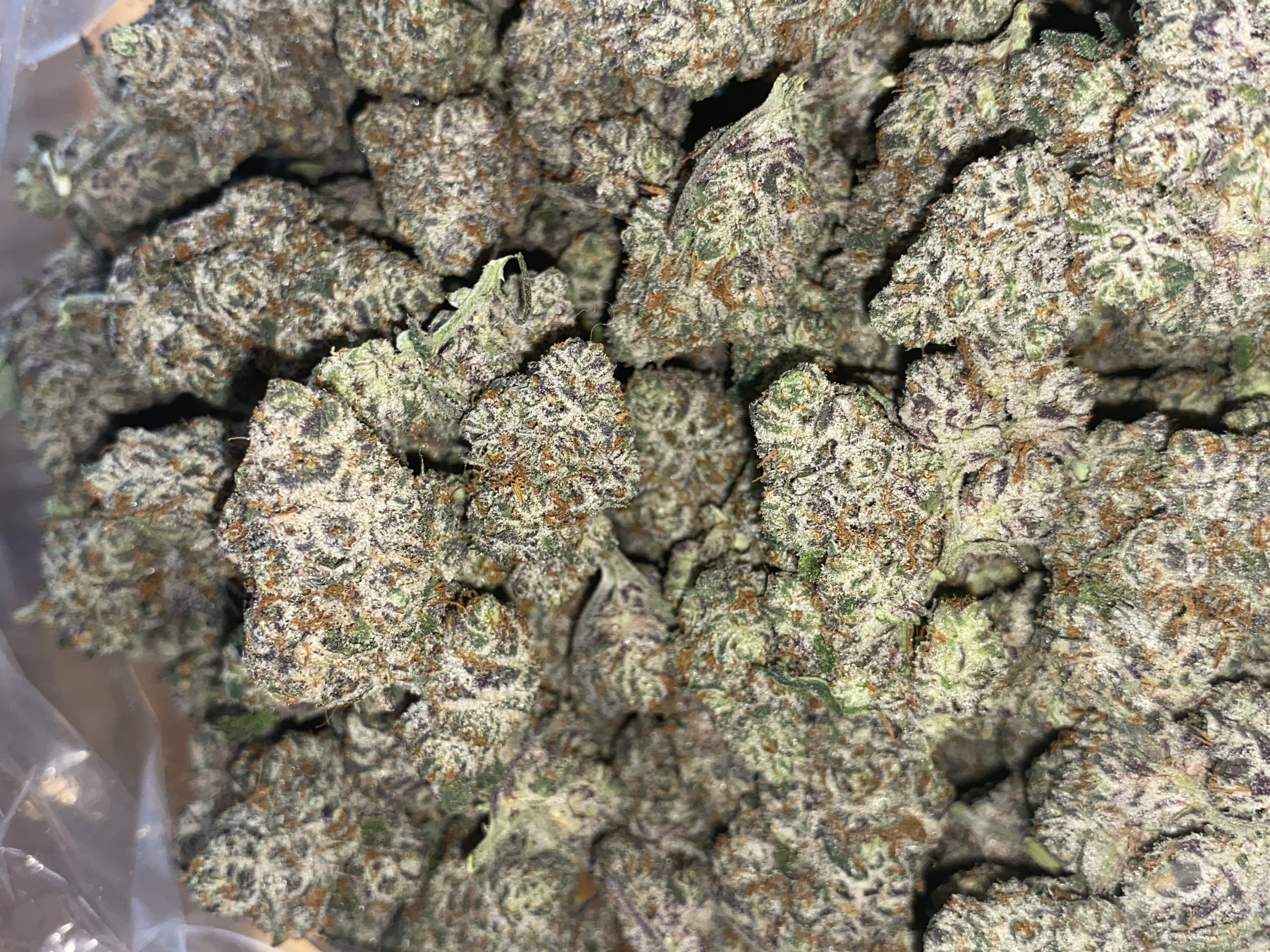 Photograph of product: Zombie Sprinkles | Premium Flower - 14g