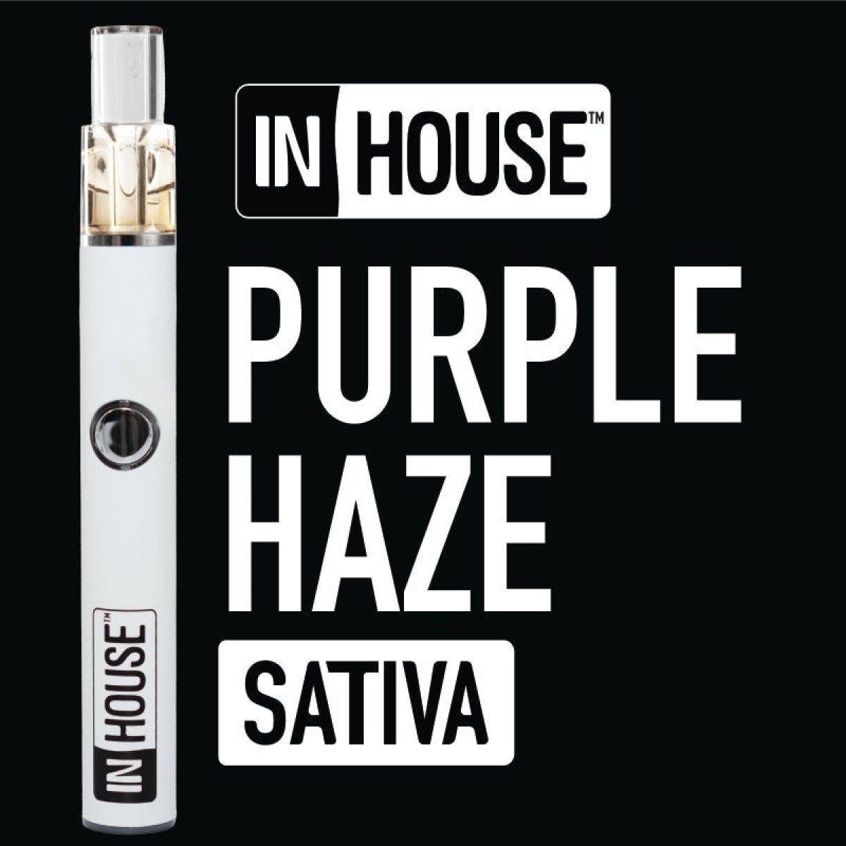 Photograph of product: Disposable | Purple Haze | 1g | In House