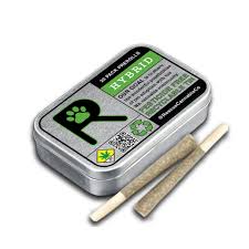 Photograph of product: Runtz 20pk - by Rescue Oui'd