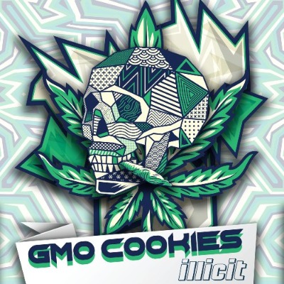 Photograph of product: GMO Cookies - 7g