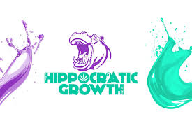 Photograph of Product: Hippie Crasher | Flower - 3.5g
