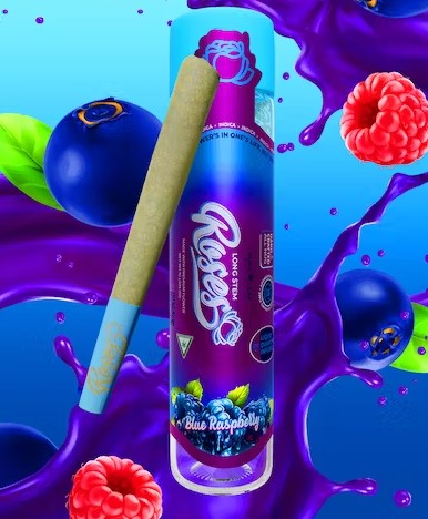 Photograph of product: PR | Black Cherry Pop | 1g | Infused | Long Stem | Roses