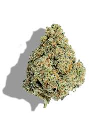 Photograph of product: Flower | Gator Breath | Holistic - 28g