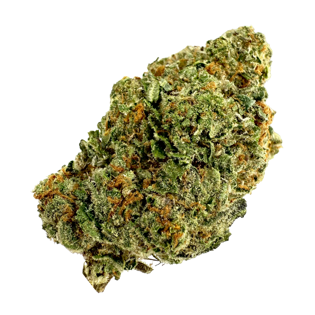Photograph of product: GOLD STANDARD - GELATO 41 3.5G