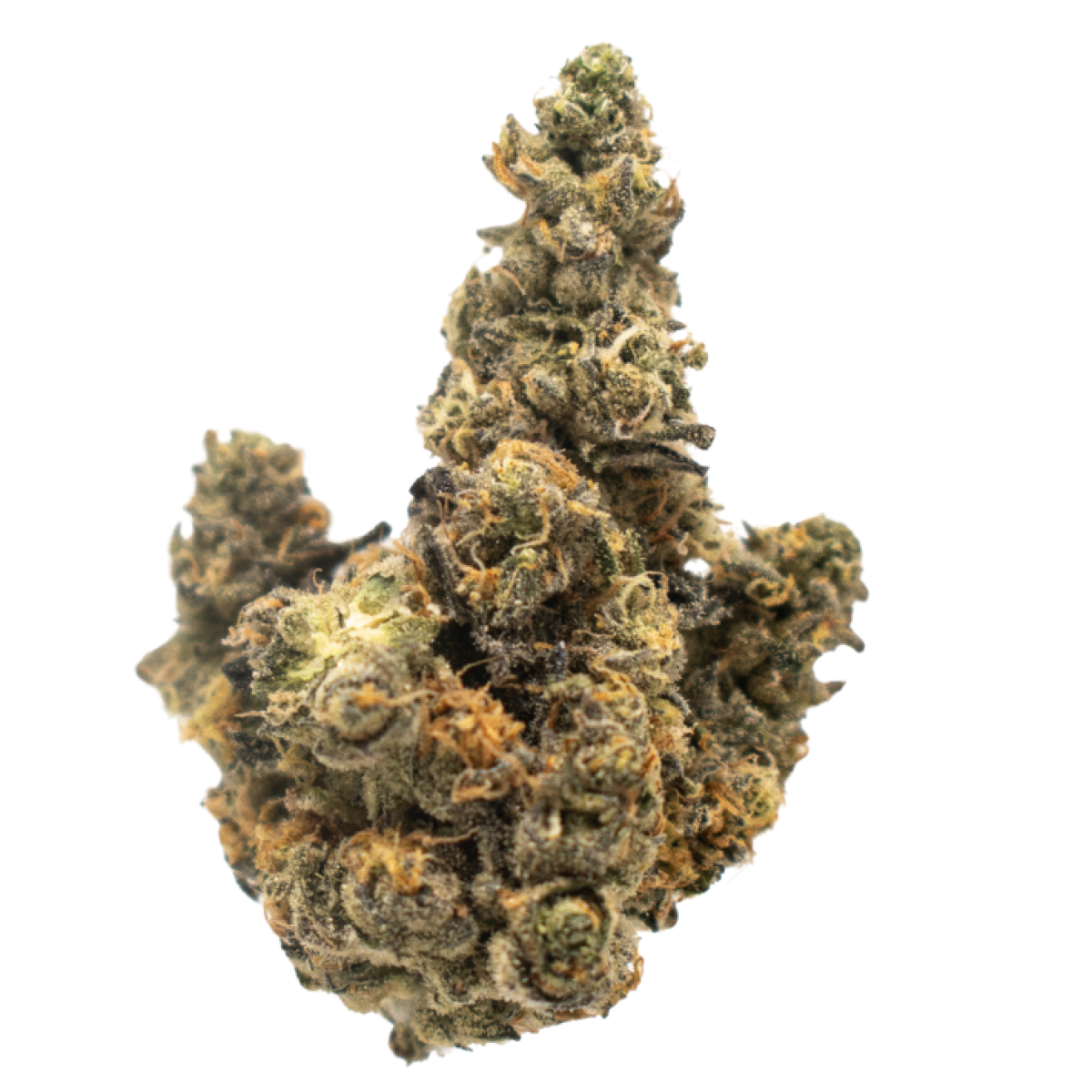 Photograph of product: Cheetah Piss | Flower | 3.5g