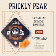 Photograph of product: Elevate Prickly Pear Gummies 10pk | 500mg