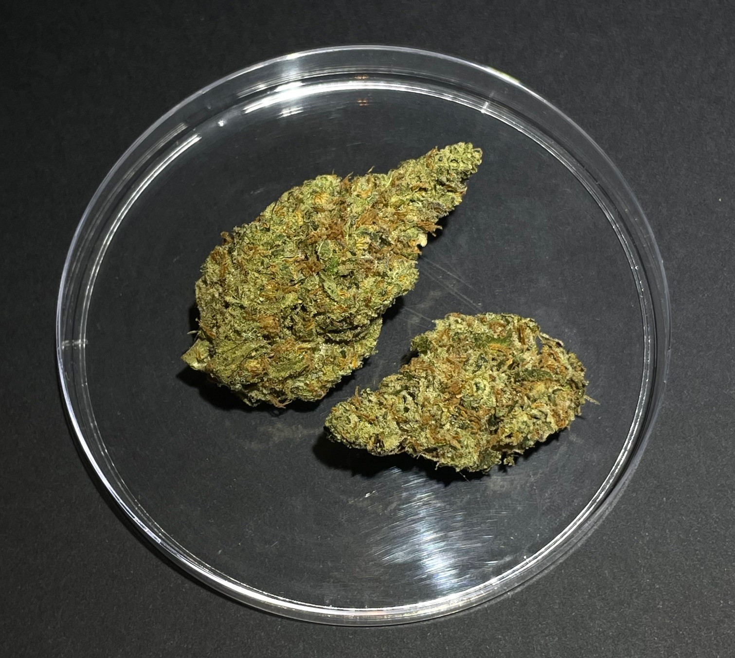 Photograph of product: Future Haze - 28g