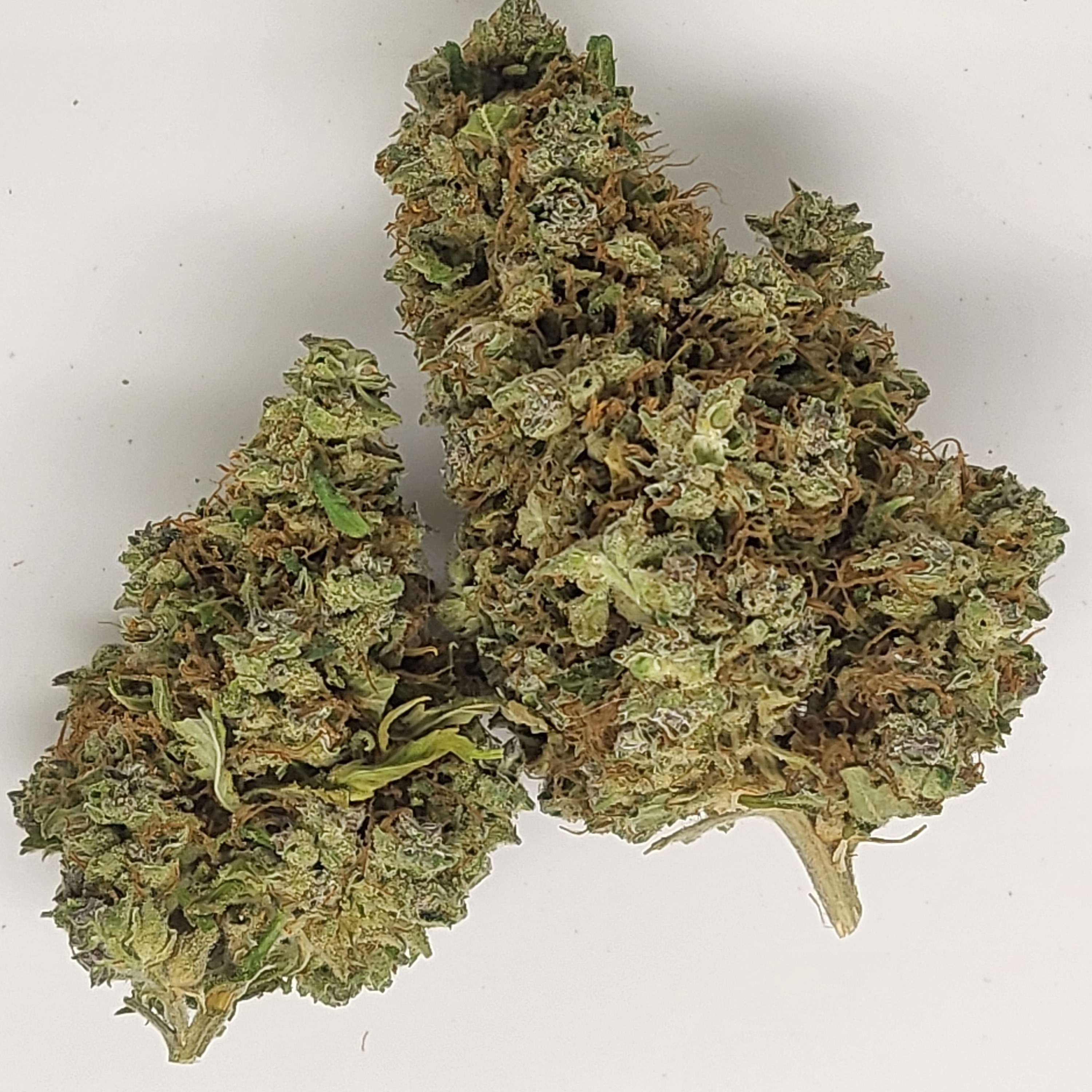 Photograph of product: Matanuska Cherry Pie 1g Flower 20.31% TH-oui by ALASKAbuds