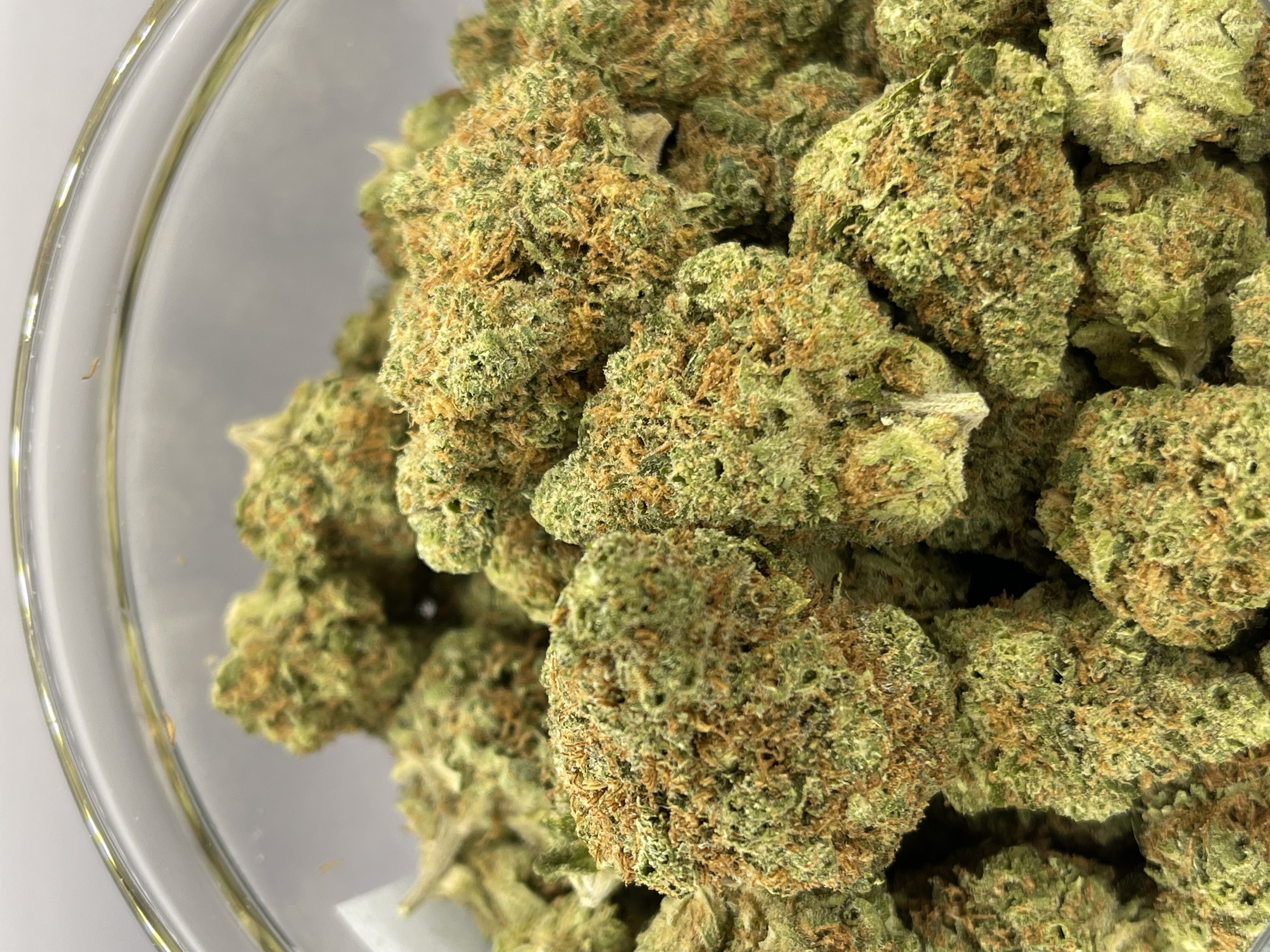 Photograph of product: Platinum Shelf - Tropicana Banana (S) - 28g