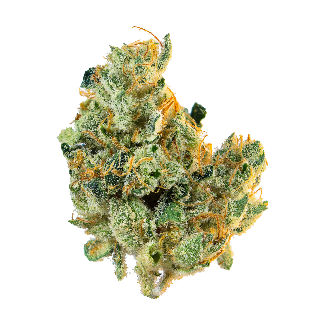 Photograph of product: TROPICANNA 14G