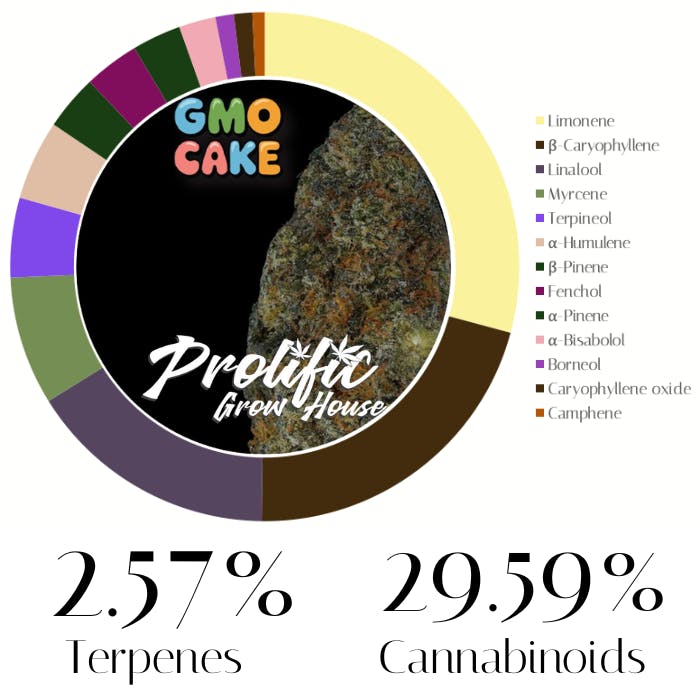 Photograph of product: GMO Cake by Prolific Growhouse | Flower | 3.5g