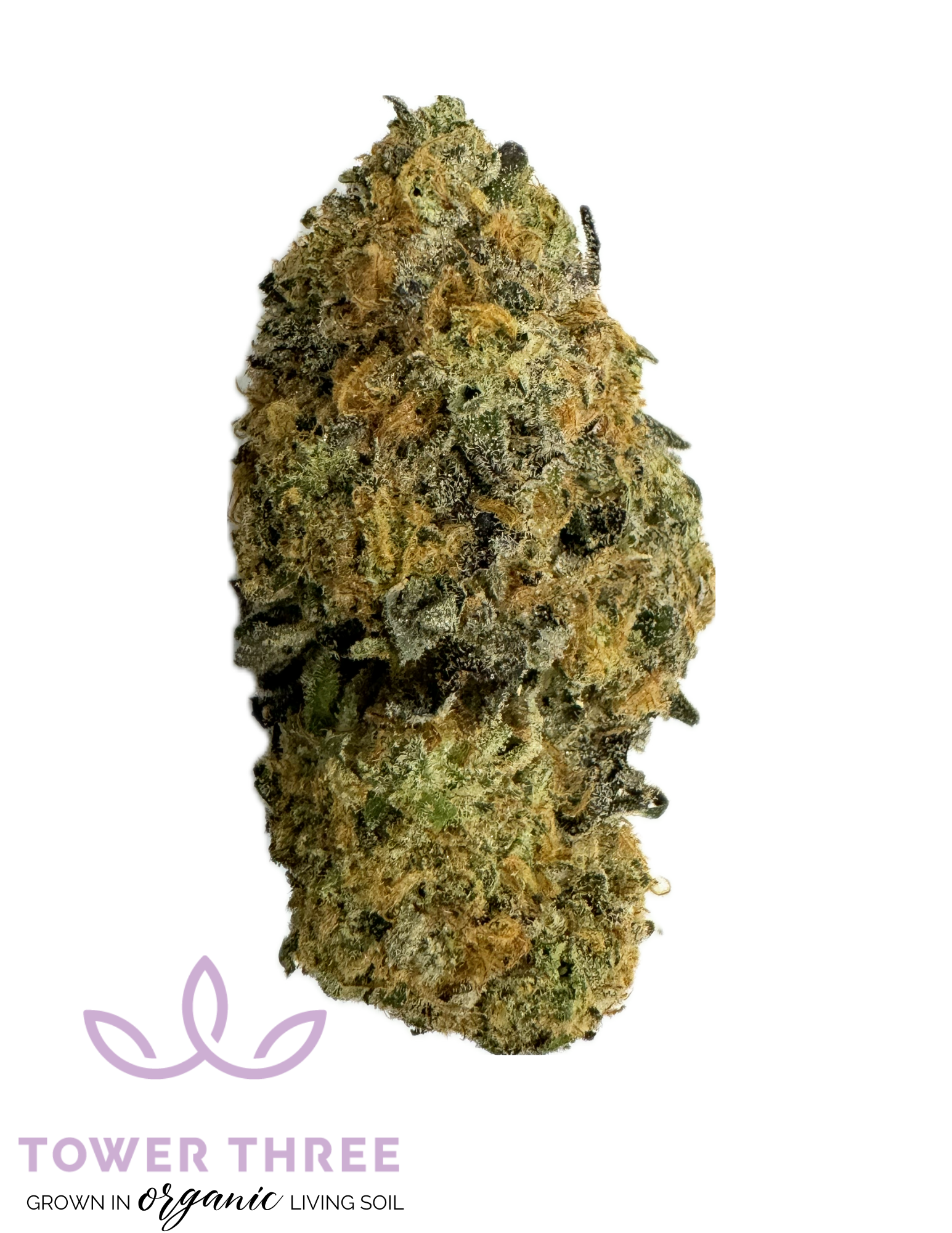 Photograph of product: Tea Time 3.5g Tower Three