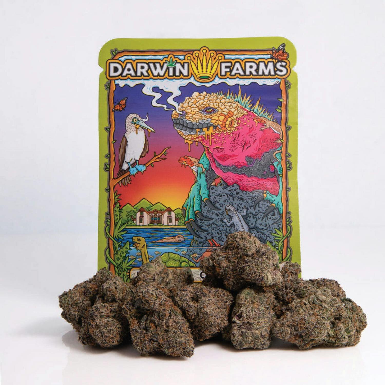 Photograph of product: Darwin Farms | Sudz (3.5g)
