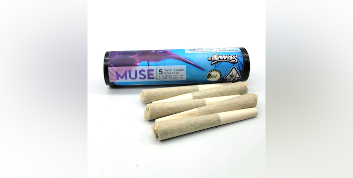 Photograph of product: 5PK - MUSE - PURPLE MAJESTY