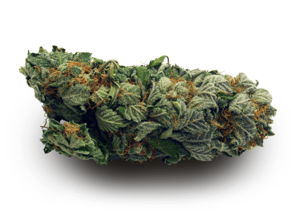 Photograph of product: High Life | Banana Conda | Bulk Flower - 28g