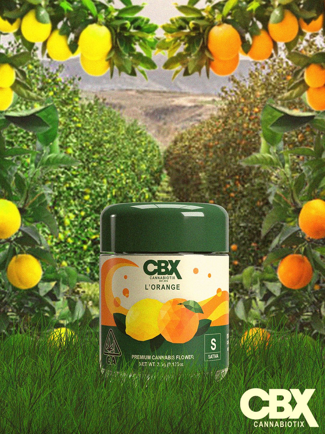 Photograph of product: CBX | Flower S | L'Orange - 3.5g