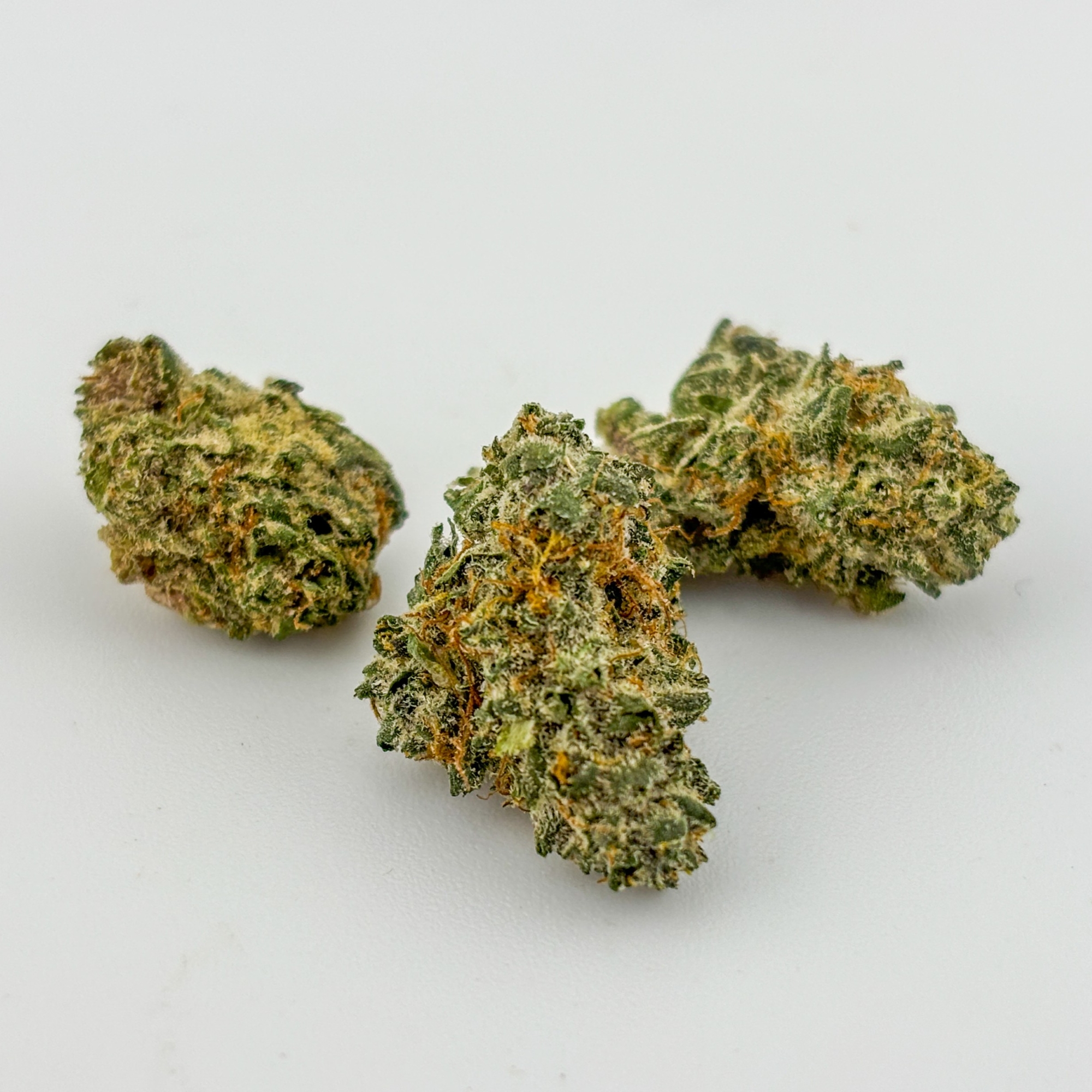 Photograph of product: Rip City Roots | Flower [S] | MARS