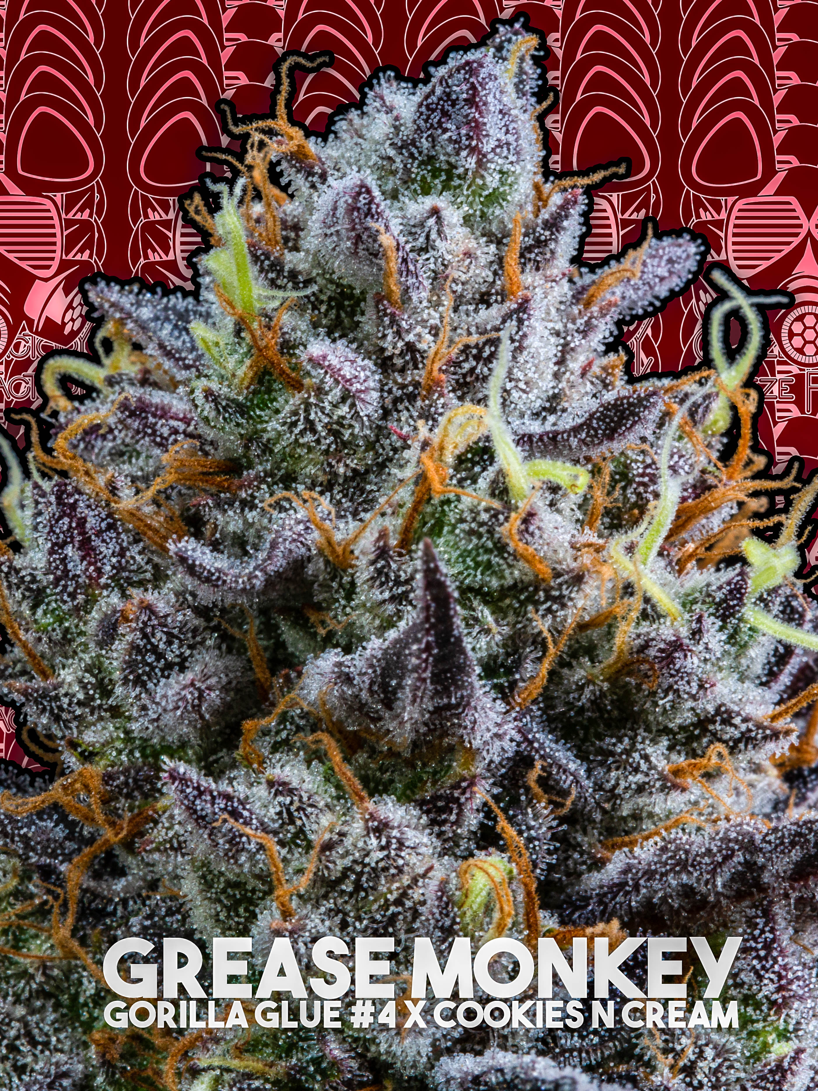 Photograph of product: Grease Monkey - 28g