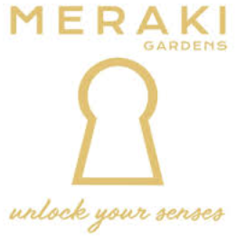 Photograph of product: MERAKI - INFUSED PREROLL - LIVE RESIN - 1.5G - HYBRID - MOLOKO PLUS